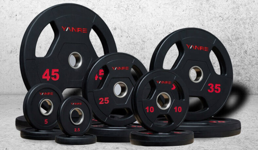 Fig 1 Custom weight plates