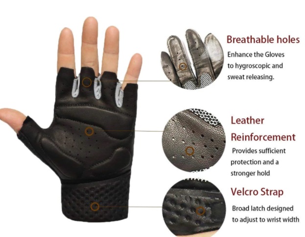 Fig 10 Parts of a gym glove
