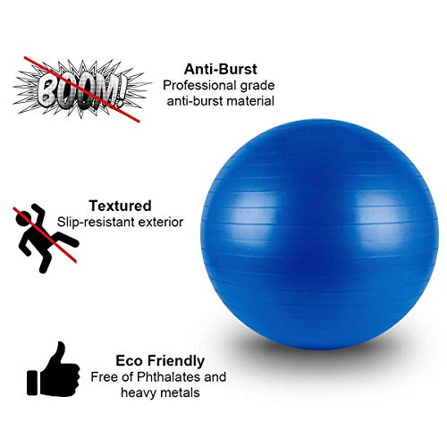 Fig 10 Stability ball buying Guideimage src Diet plus minus