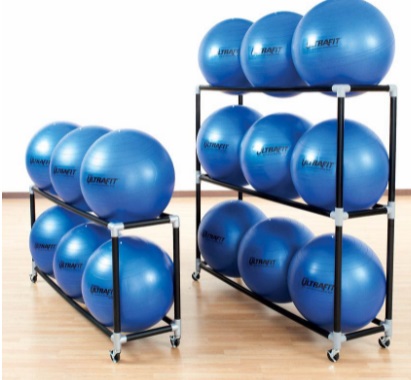 Fig 15 Gym ball holders with wheels