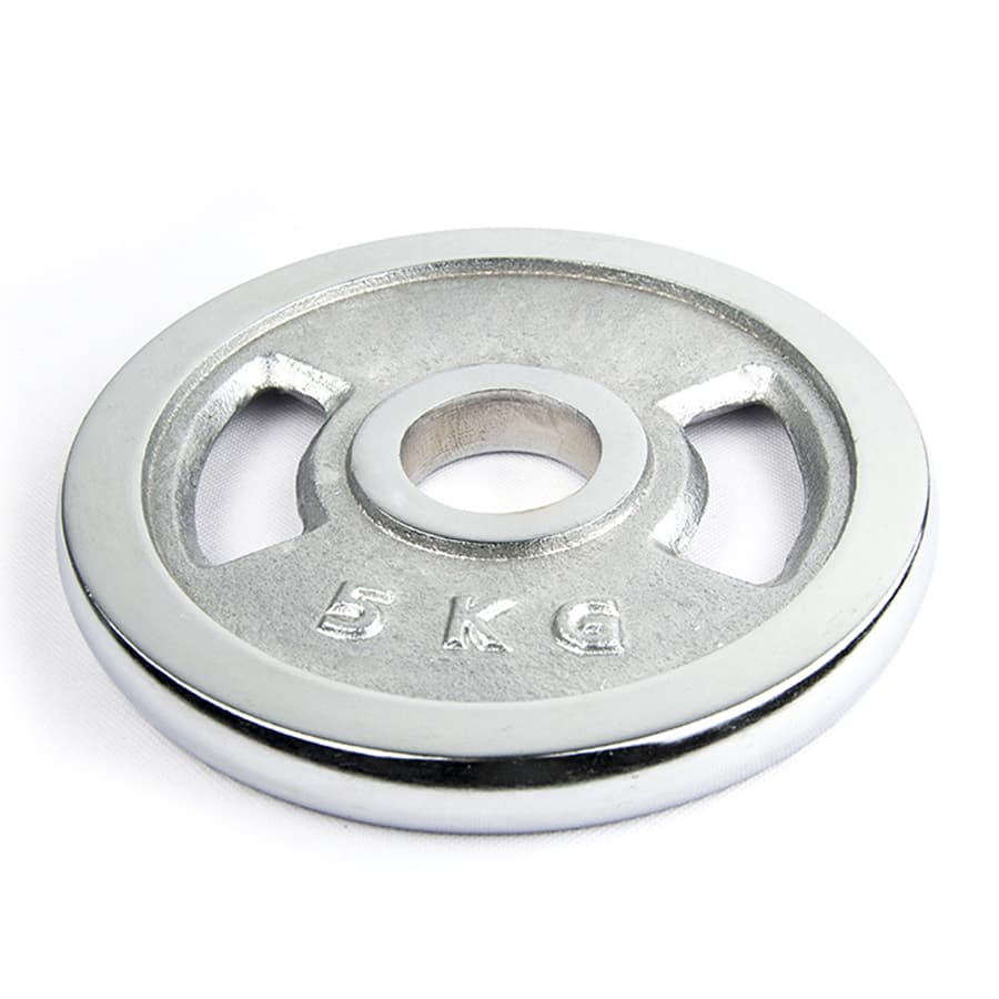 Fig 2.4 Cast iron weight plate