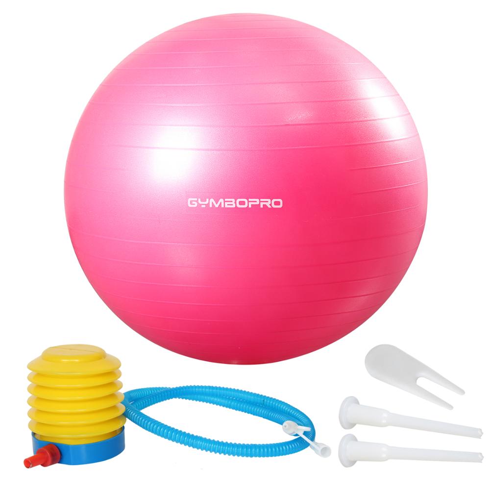 Fig 6 Stability ball air pumpimage src Google images