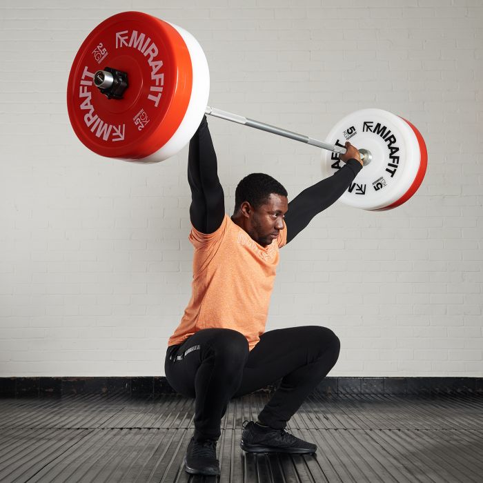 Figure 07 The Technique Bumper Plates