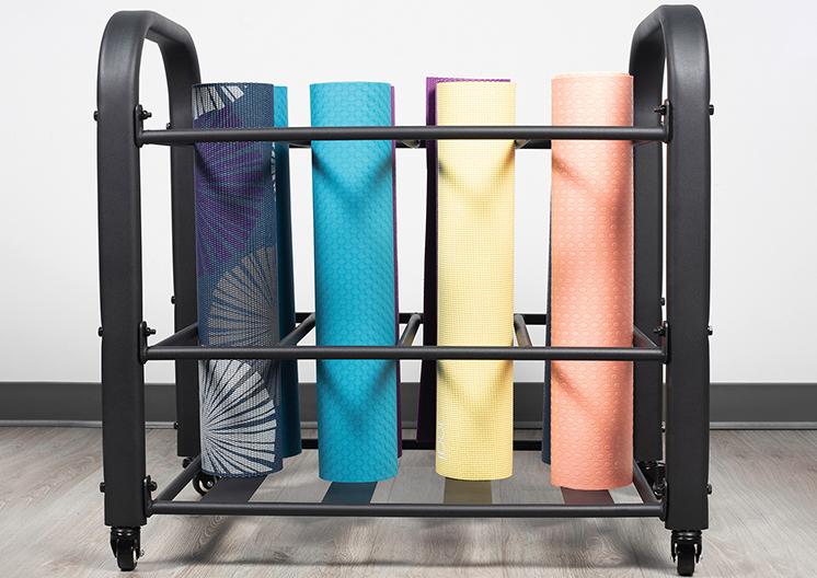 Figure 1 Gym Mat Rack