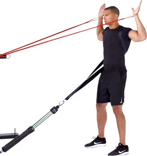 Figure 5 The thera band vector device