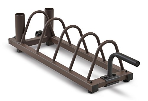 Figure 6. Horizontal Gym Plate Rack