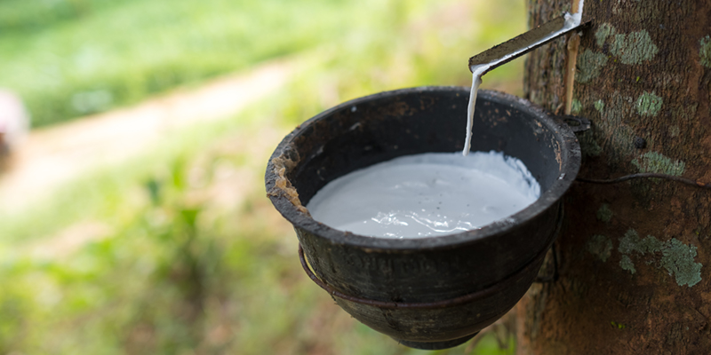 Figure 7 Natural rubber