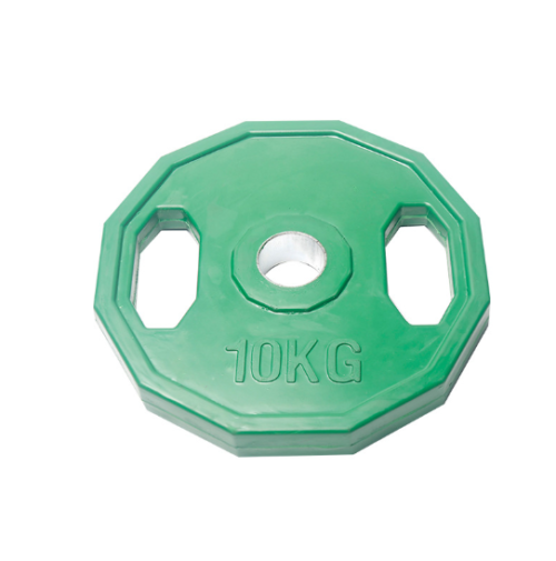 Weight Plate WPR001 gym fitness equipment detail yanrephòng tập thể dục