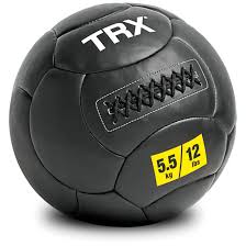 Figure 4 Vinyl Medicine Ball