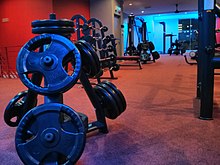 Commercial Barbell Set 17 Figure 6 Barbell set with handhold weight plates